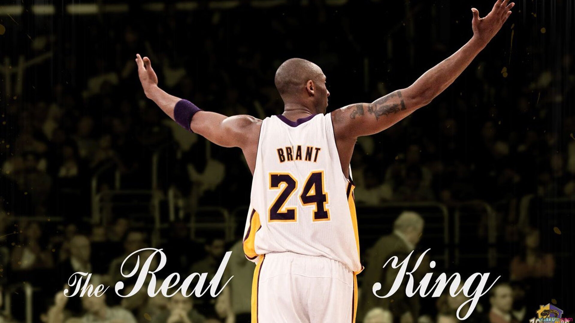 NBA联盟裁判员心理培训与行为规范,篮球裁判心理素质